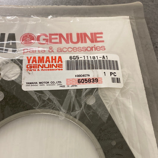 Packning 6G5-11181-A1