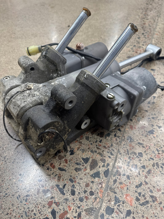 Suzuki Powertrim 225hk