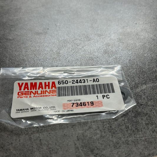 Packning 650-24431-A0