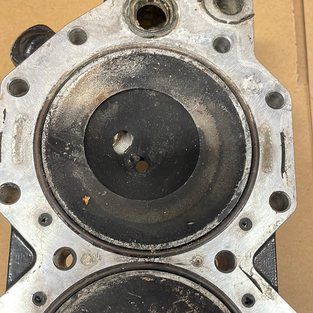 Evinrude e-tec topp 350544