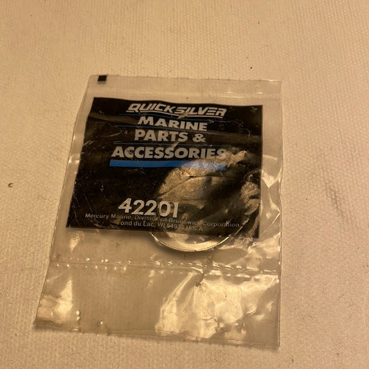 Mercury retaining ring