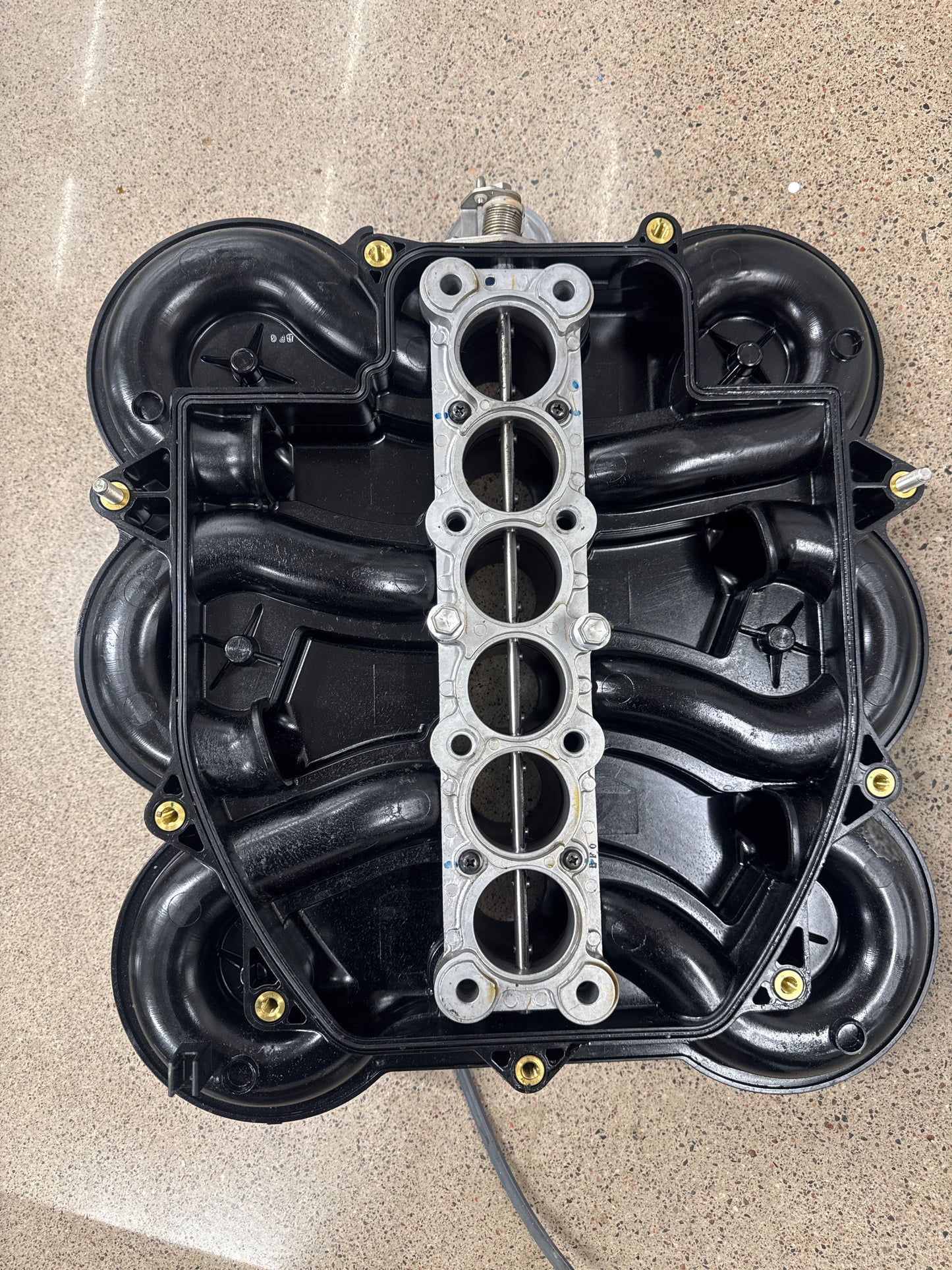 Suzuki OEM COLLECTOR 225hk