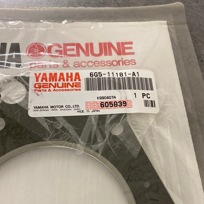 Packning 6G5-11181-A1