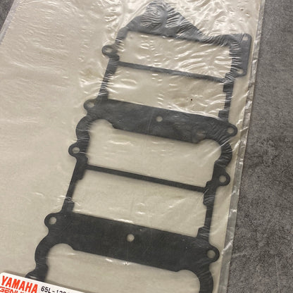 Packning 65L-13645-00