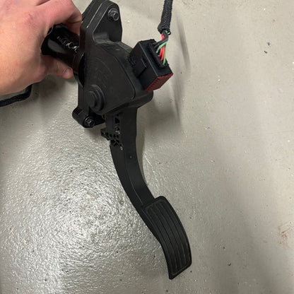 Evinrude e-tec fotgas