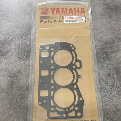 Packning 67C-11181-01