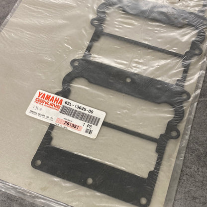 Packning 65L-13645-00