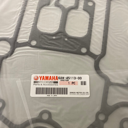 Packning 6AW-45113-00