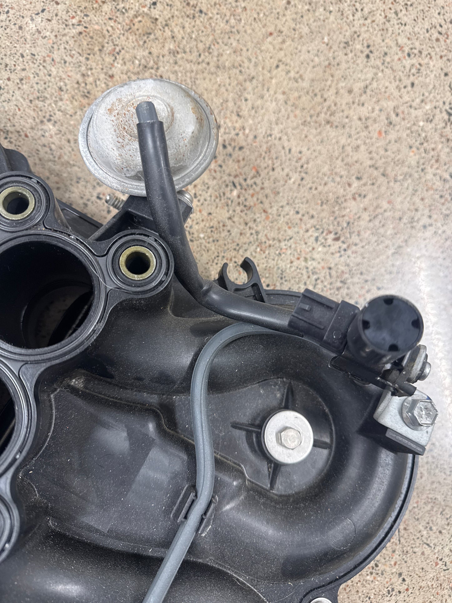 Suzuki OEM COLLECTOR 225hk