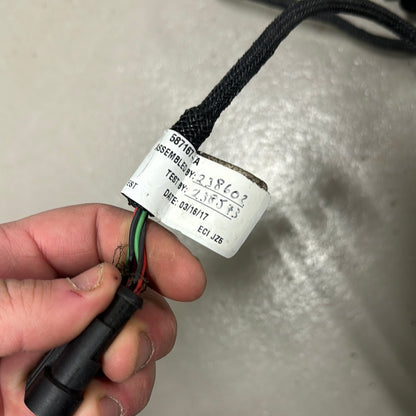 Evinrude e-tec fotgas