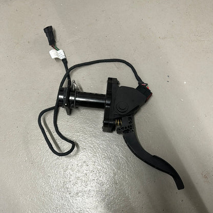 Evinrude e-tec fotgas