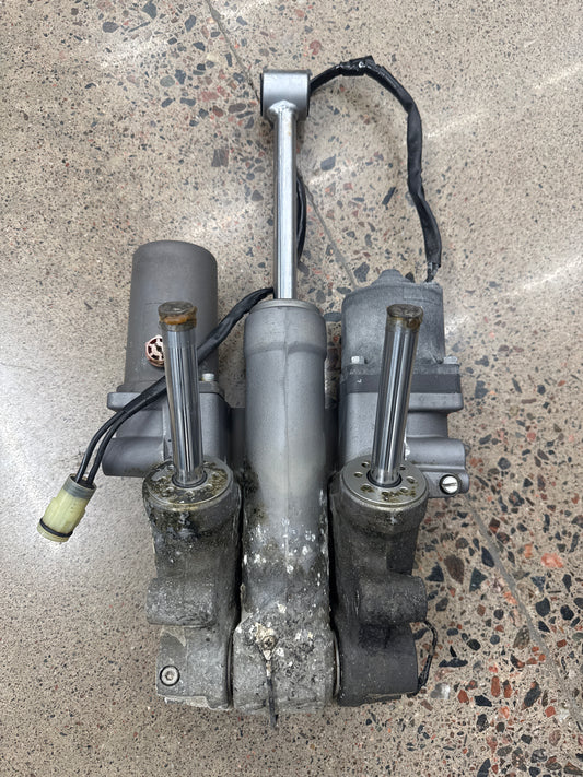 Suzuki Powertrim 225hk