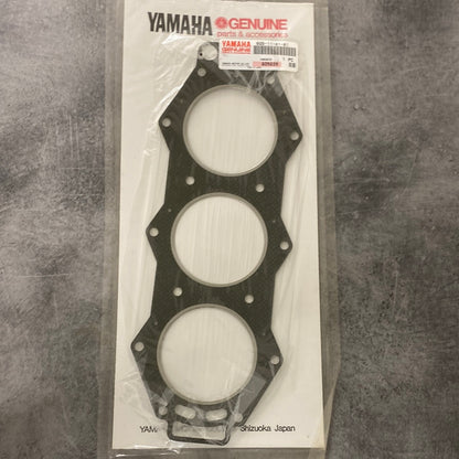 Packning 6G5-11181-A1