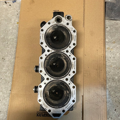 Evinrude e-tec topp 350544