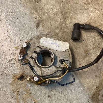 Yamaha stator F2t01271